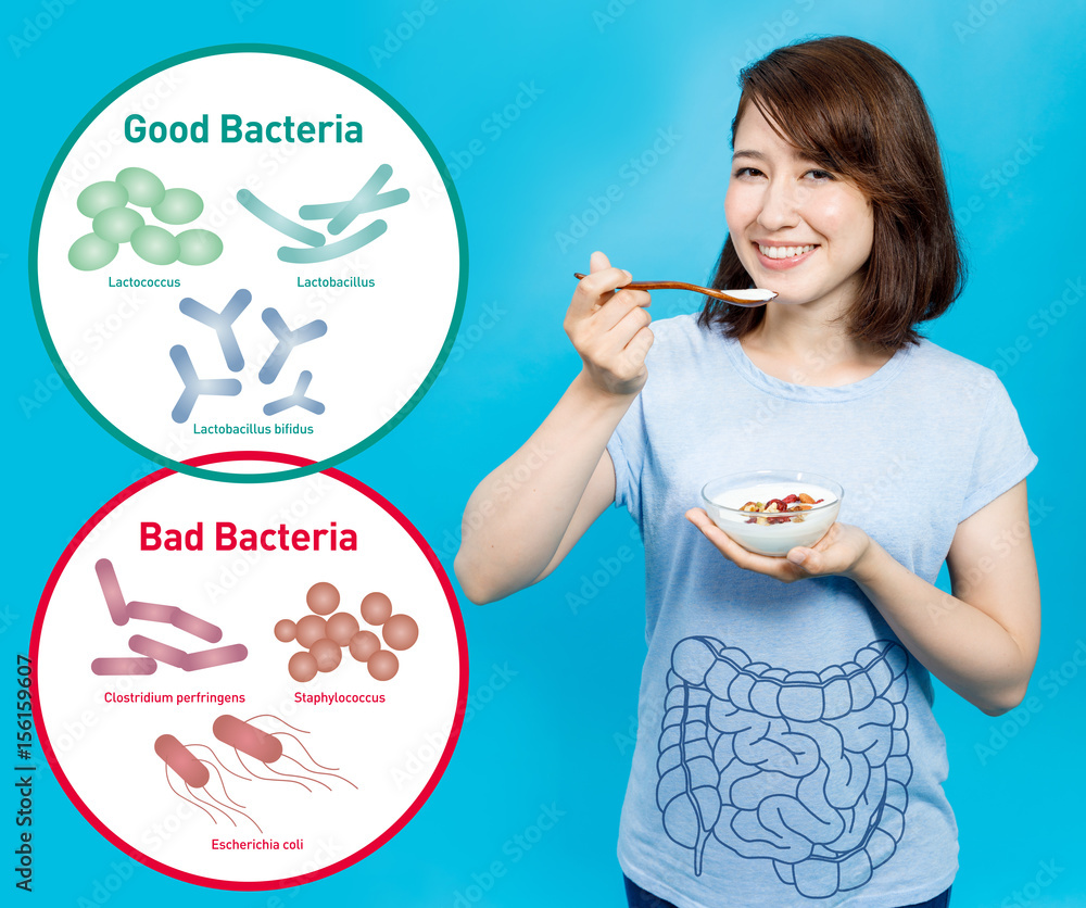 Good Bacteria In Yogurt