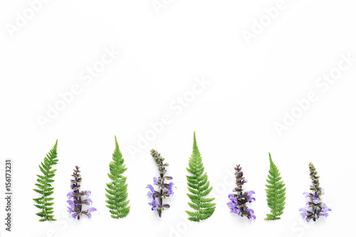 Wildflowers And Fern Leaves Arrangment On White Background
