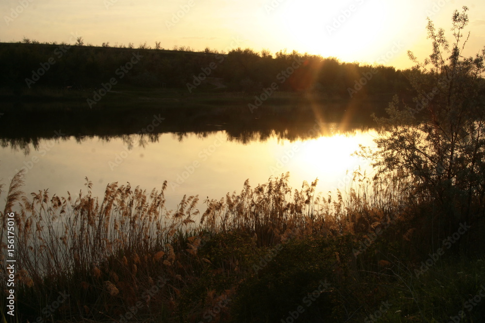 Obraz premium речка на закате.