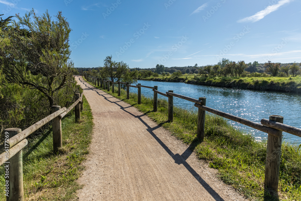 Naklejka premium Chemin dans les marais d'Olonne