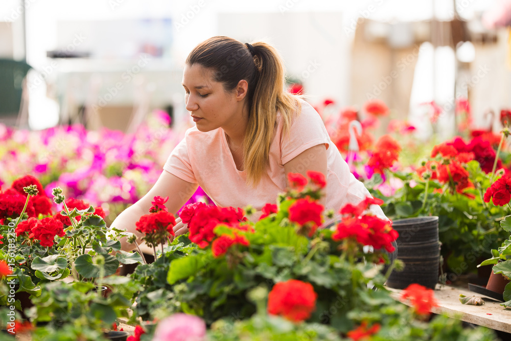 Pretty florists woman working with blooming flowers at a greenhouse