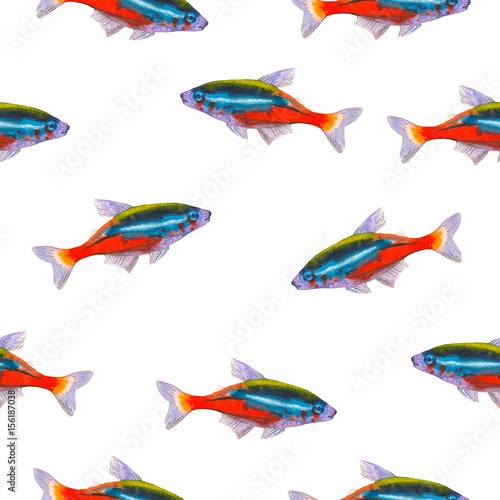 Seamless pattern with tropical neon tetra. Watercolor illustration with hand drawn aquarium exotic fish on white background.