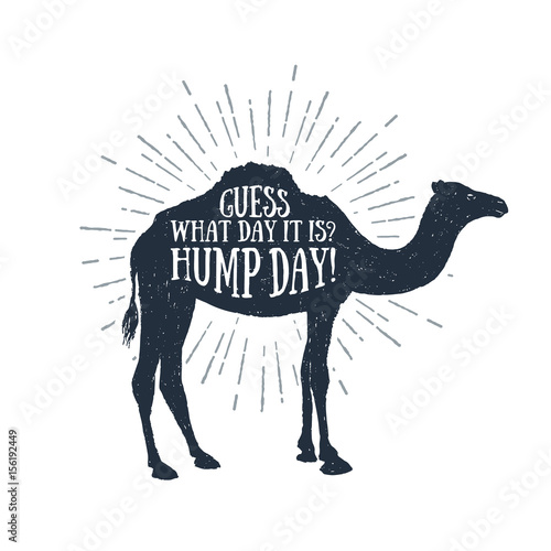 Hand drawn label with textured camel vector illustration and "Guess what day it is? Hump day!" funny lettering.