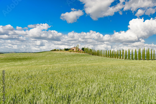 Perfect panorama of green hills with blue sky and fluffy clouds