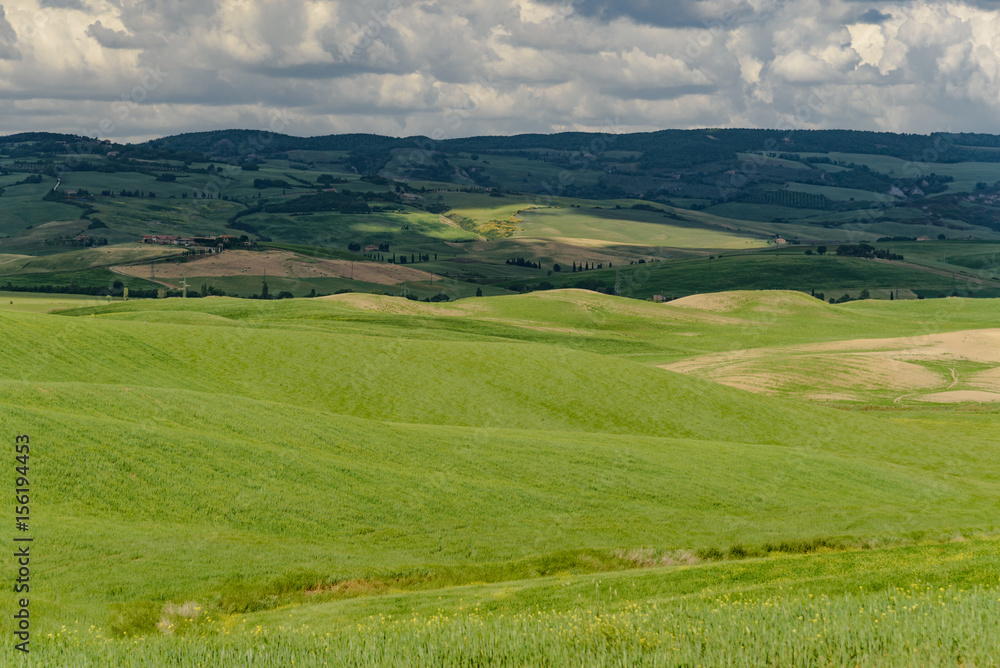 Fototapeta premium Perfect panorama of green hills with blue sky and fluffy clouds