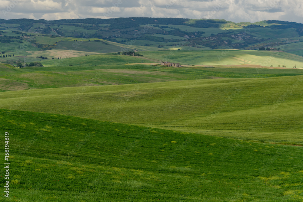Perfect panorama of green hills with blue sky and fluffy clouds Perfect panorama of green hills with blue sky and fluffy clouds