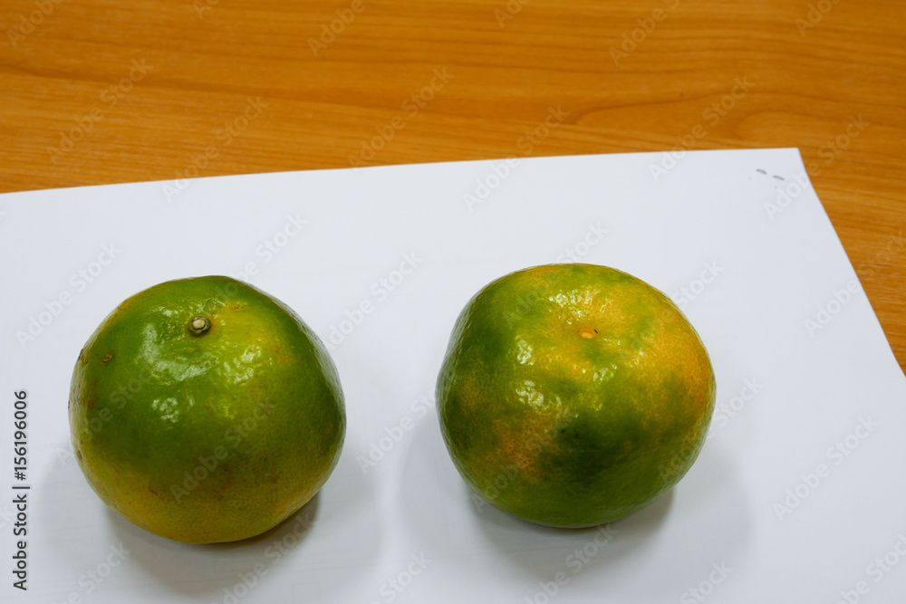 Two oranges on white papar and wood table Two oranges on white papar and wood table