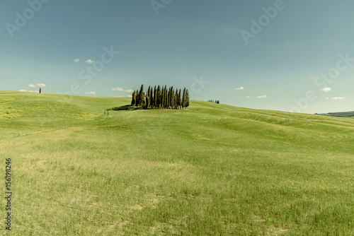 Green hills of tuscany in valley of siena siena photo