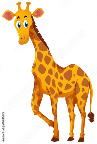 Cute giraffe standing on white background