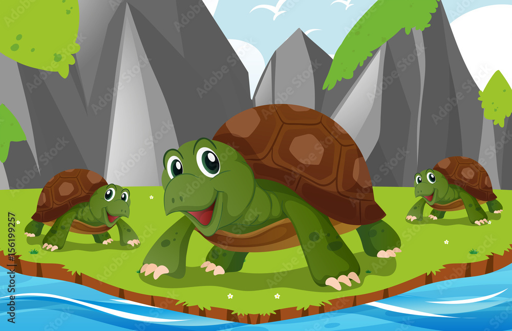 Turtles living by the river