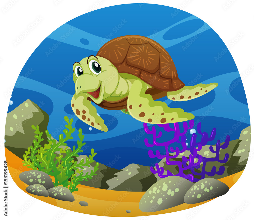 Obraz premium Sea turtle swimming under the sea