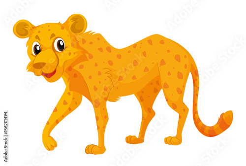 Cute cheetah on white background