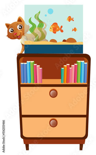 Cat and fishtank on the shelf