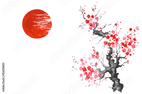 Japan Traditional japanese painting Sumi-e art Sakura Sun