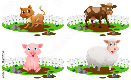 Four types of animals in the mud
