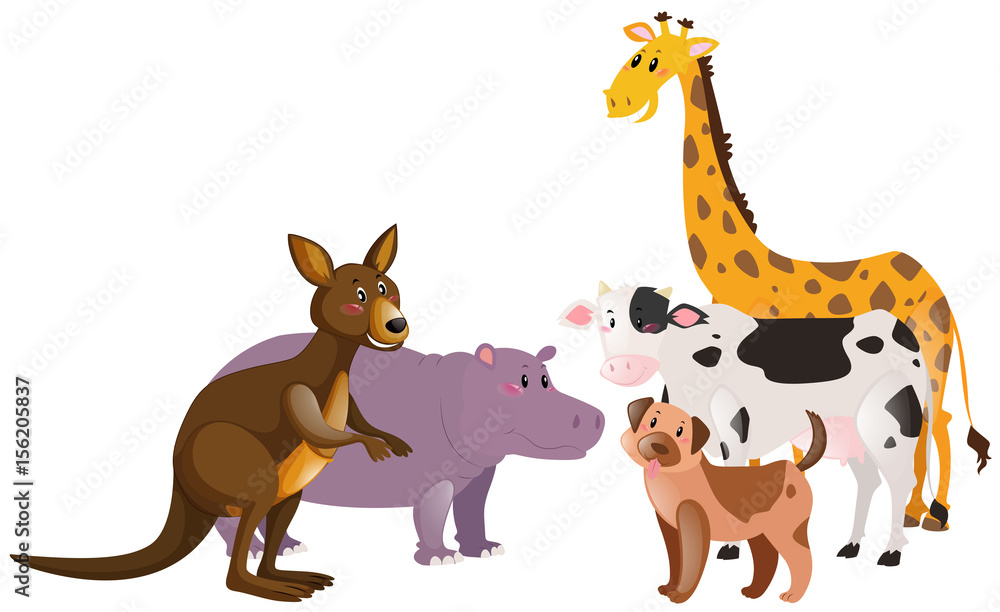 Many kinds of farm and wild animals