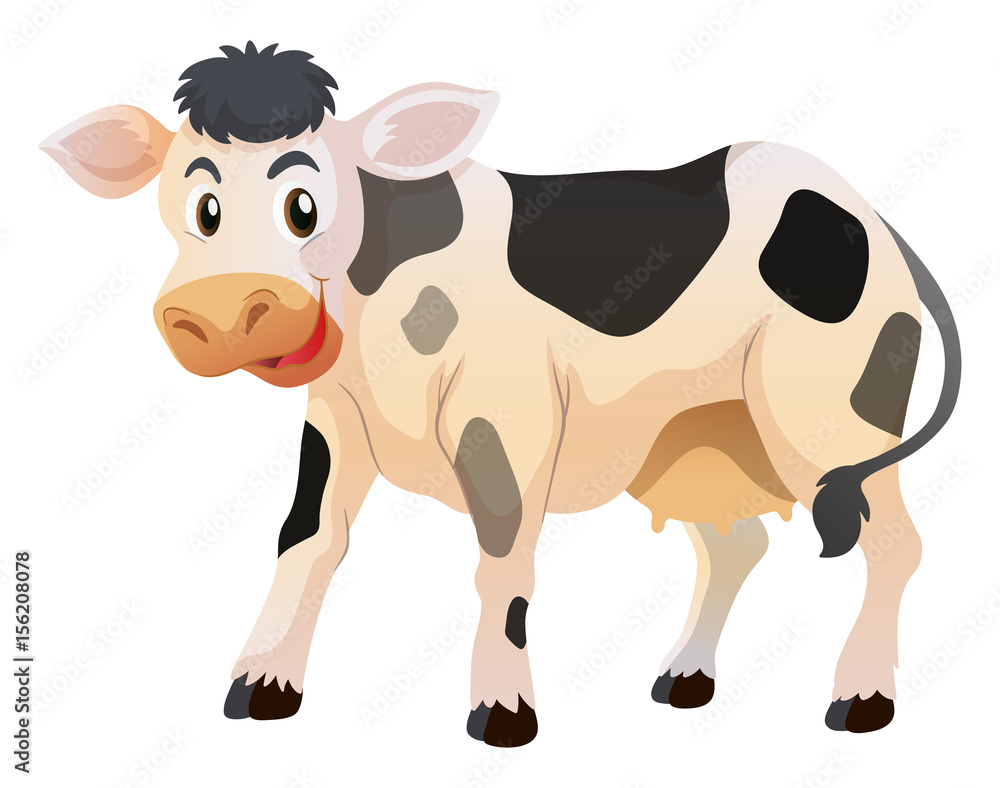 Cute little cow standing Cute little cow standing