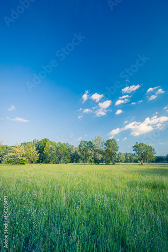 Beautiful nature background. Beauty in nature. Green nature ecology concept.