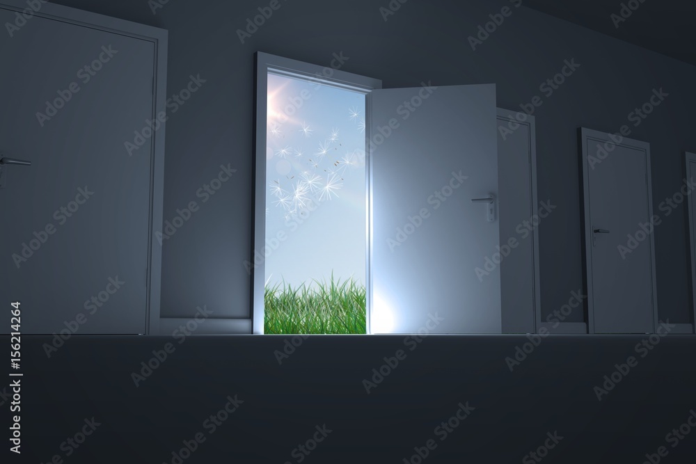 Opened door reveals garden Opened door reveals garden