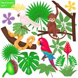 Rainforest and jungle life set. Tropical animals and plants. Vector illustration. Cartoon style