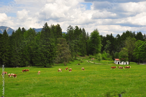 Bayernland