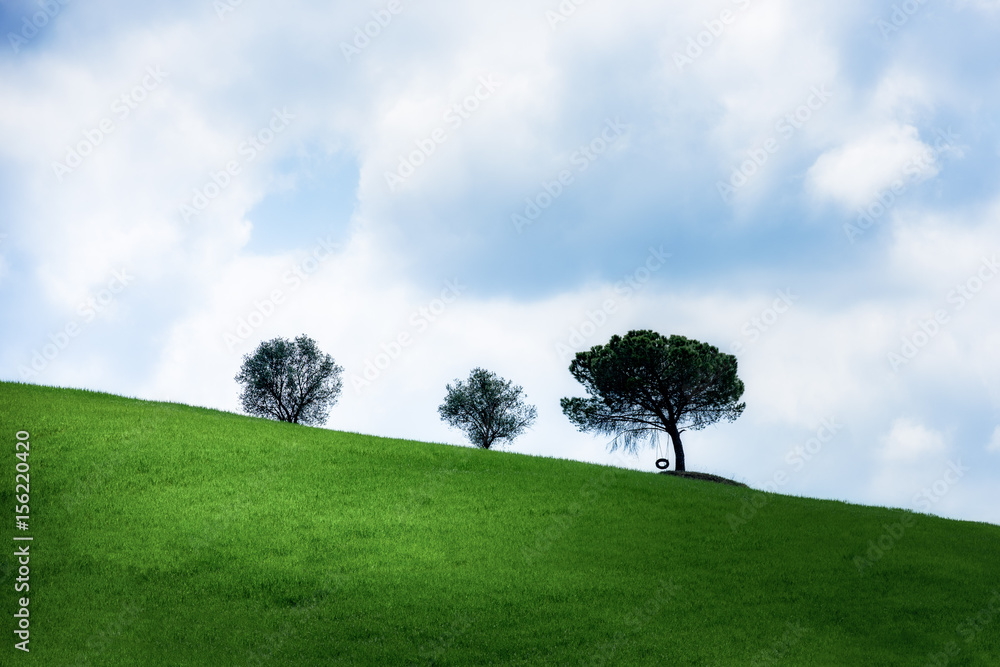 Fototapeta premium tuscany