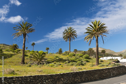Valley of a Thousand Palms, Lanzarote, Spain