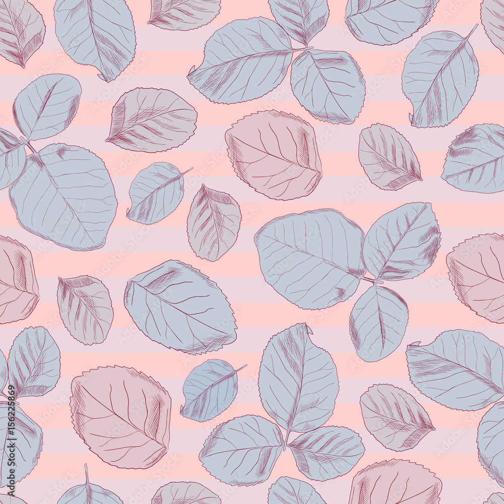 The pattern of leaves with the outline on striped background.  Vector illustration.