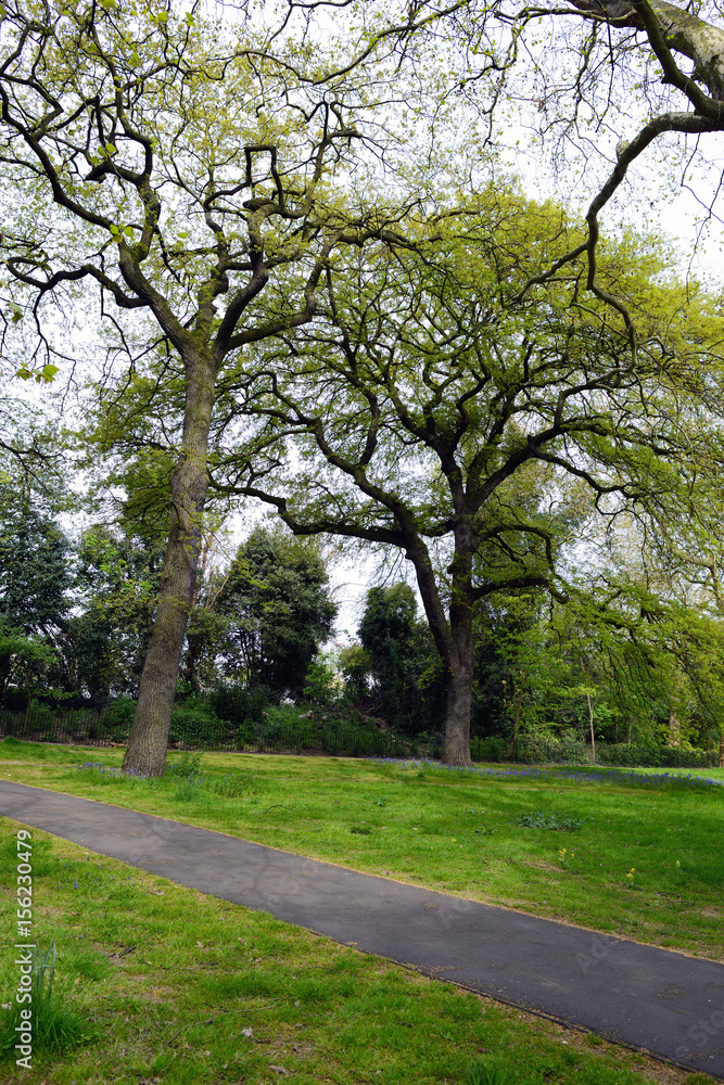london, park london, park