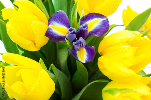 Fototapeta Naklejka Na Ścianę i Meble -  Bouquet of flowers