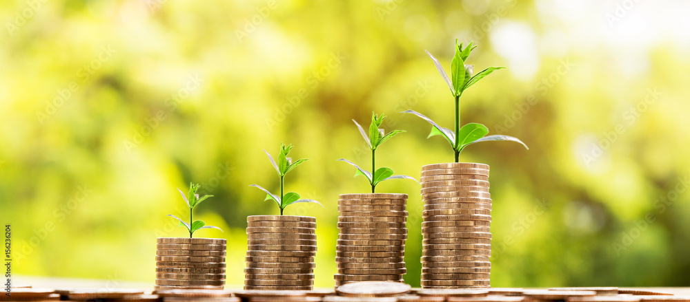 Money Business success growing concept, Trees on pile of coins money over sun flare silhouette tone.