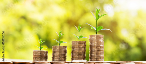 Money Business success growing concept, Trees  on pile of coins money over sun flare silhouette tone.