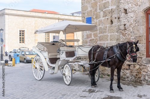 A white carriage harnessed by a black horse stands on a city street