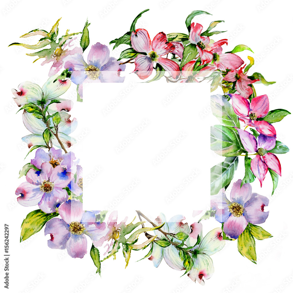 Obraz premium Wildflower dogwood flower frame in a watercolor style isolated.