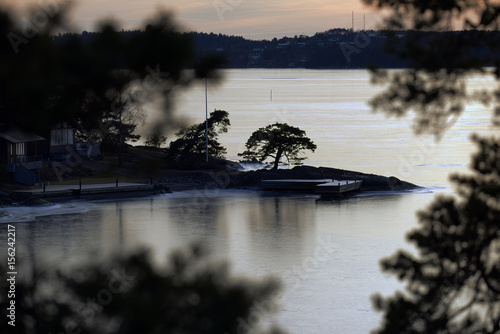 Träd, baggensfjärden,nacka,sverige photo