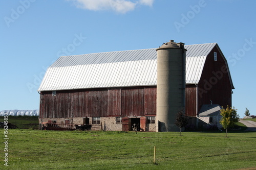 Barn with cows.