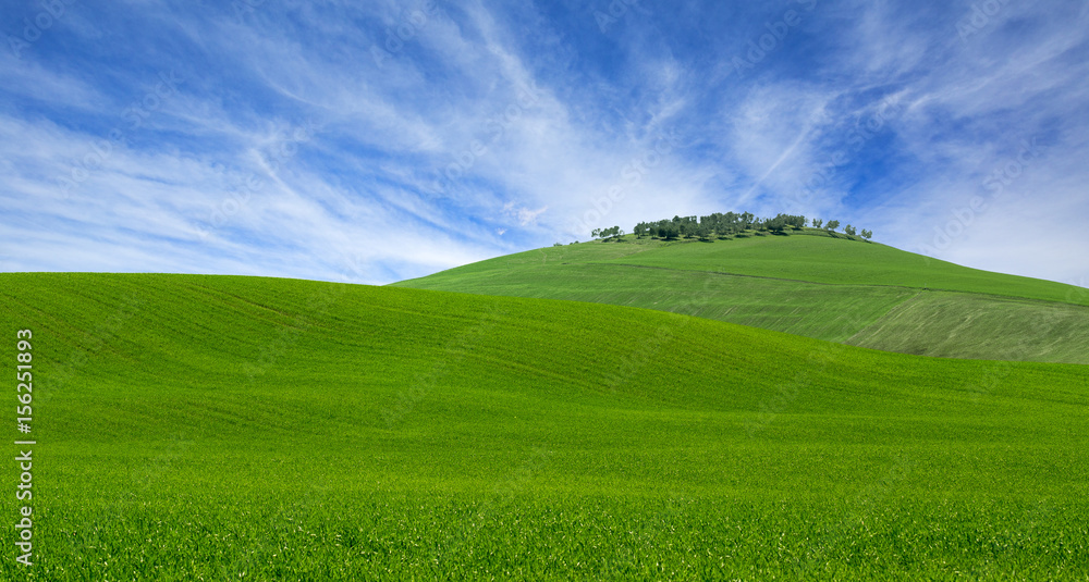 bright green grass field of Tuscany rolling hills