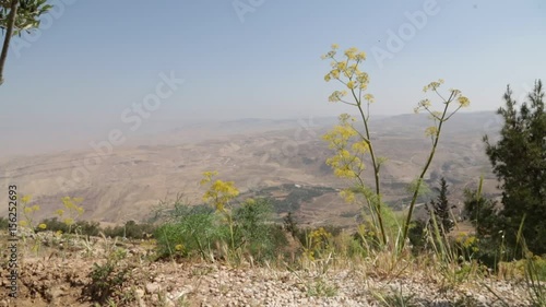   the valley of golan nature and nature