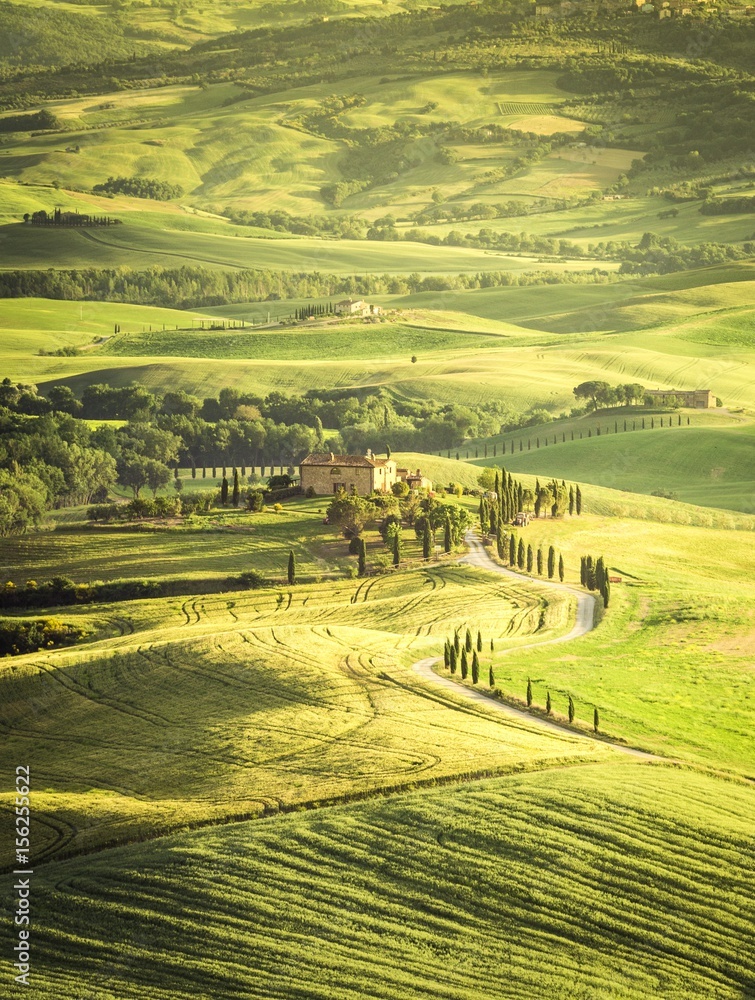 Fototapeta premium Val d'Orcia, Tuscany, Italy