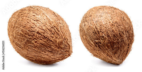 Coconut isolated on white background. Collection. Full depth of field.
