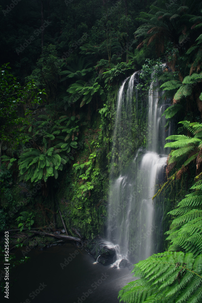 Lush green waterfall with ferns Lush green waterfall with ferns