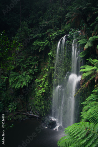 Lush green waterfall with ferns
