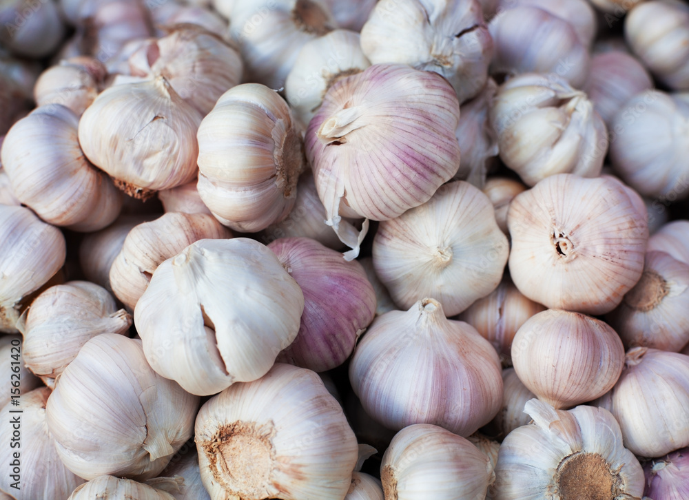 Garlic. Organic vegetable. Food background. Garlic. Organic vegetable. Food background.