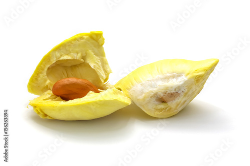 Isolated durian king of fruit on white background photo