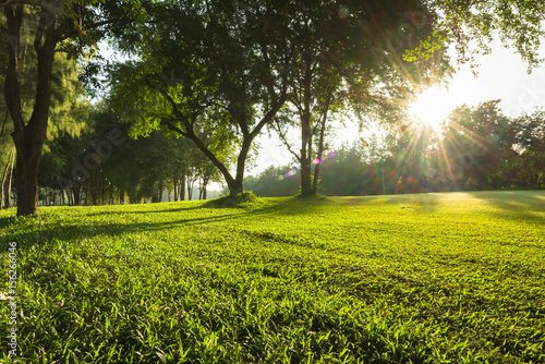 Beautiful green grass with sunbeam in the morning, Meadow and preen park landscape