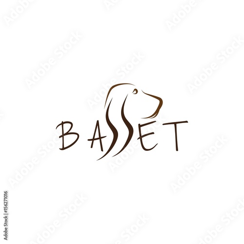 Basset vector illustration