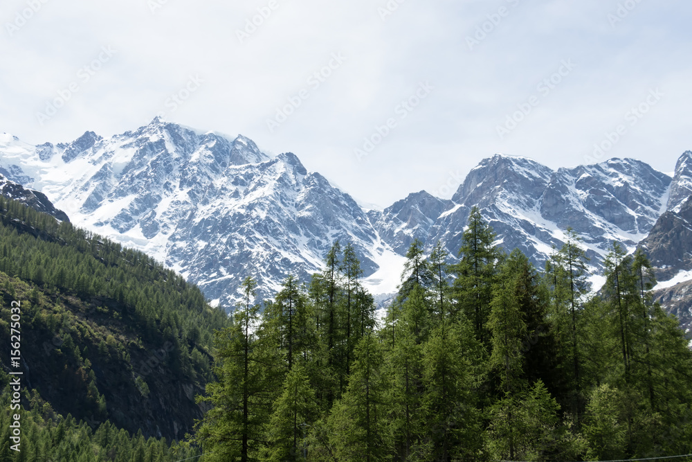 Paesaggio Alpino