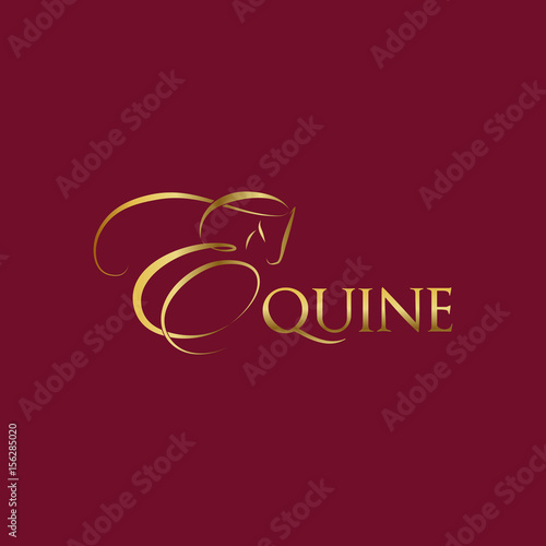 Equine vector illustration