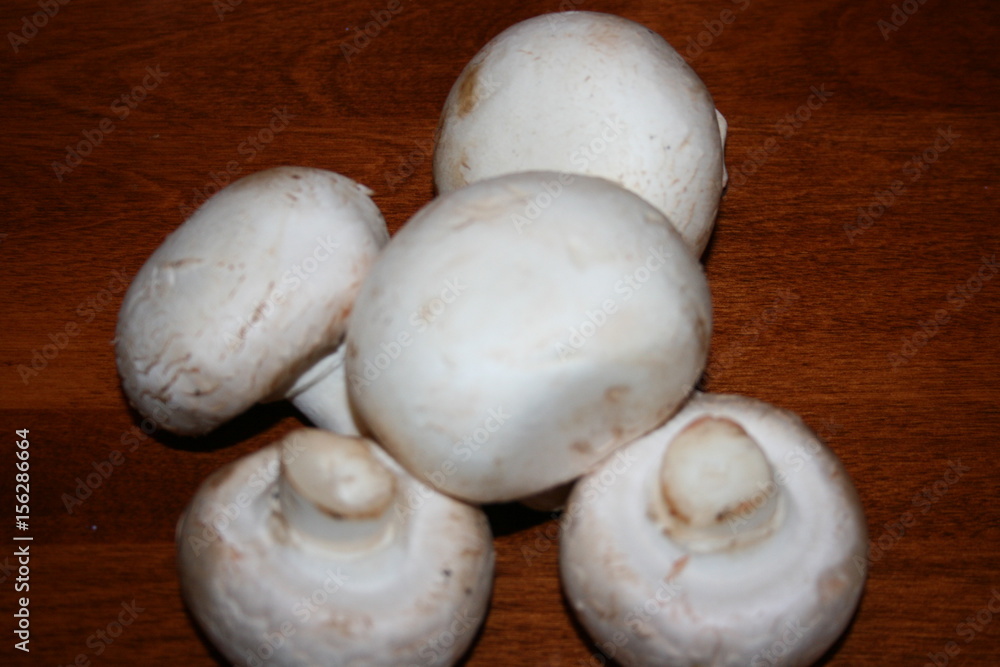 white stuffing mushrooms om wood background white stuffing mushrooms om wood background
