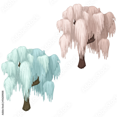 Weeping willow covered with ice in winter season
